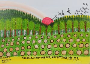 Na pierwszym planie kompozycji znajdują się rzędy wyciętych pni, za nimi, skontrastowany, gęsty las z soczystą zielenią koron drzew